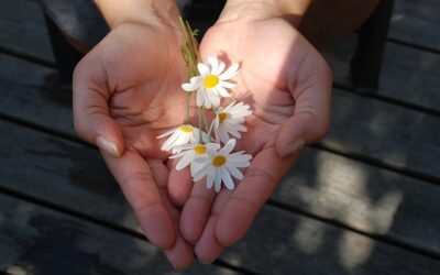 7th Tradition Contributions Urgently Needed